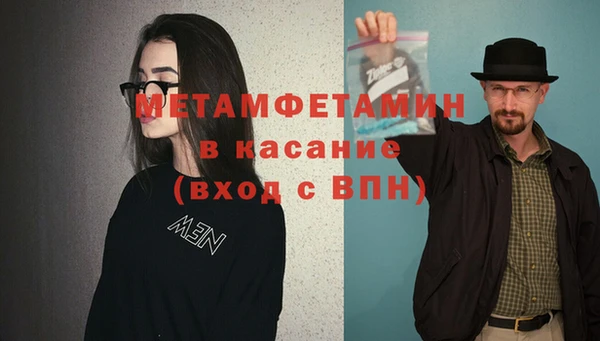 прущие грибы Саяногорск