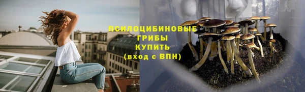 шишки Алексин