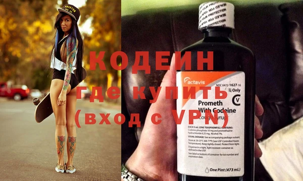 прущие грибы Саяногорск