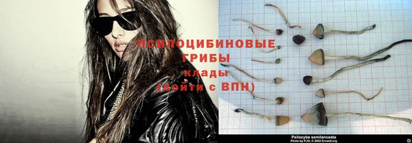 шишки Алексин