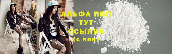 прущие грибы Саяногорск