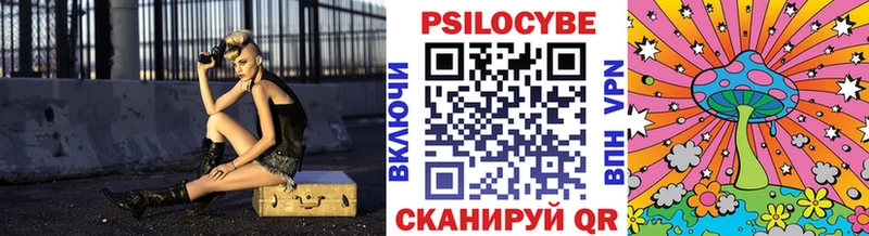 кракен зеркало  что такое   Грязовец  Псилоцибиновые грибы Cubensis 
